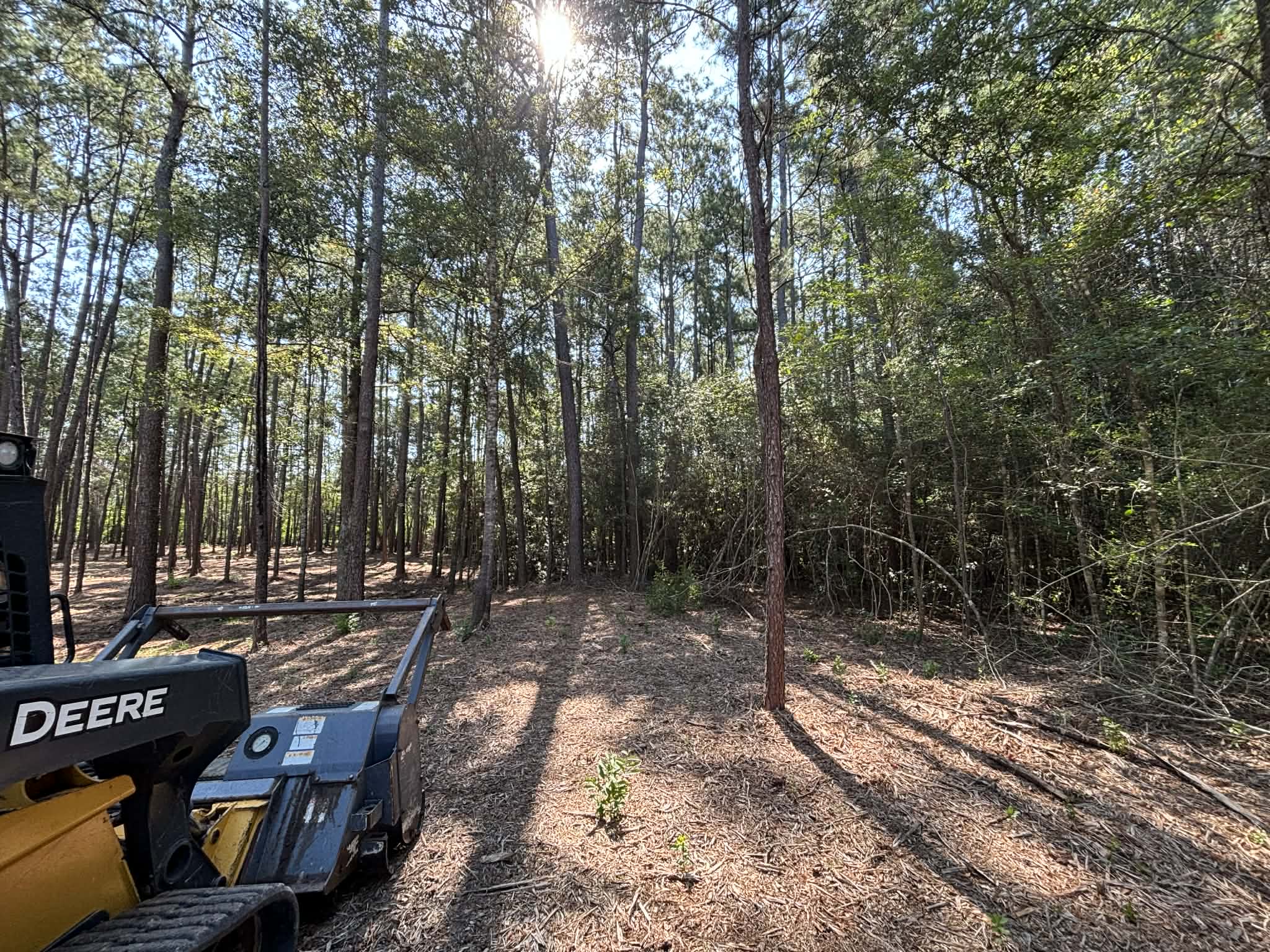Under Brush Removal