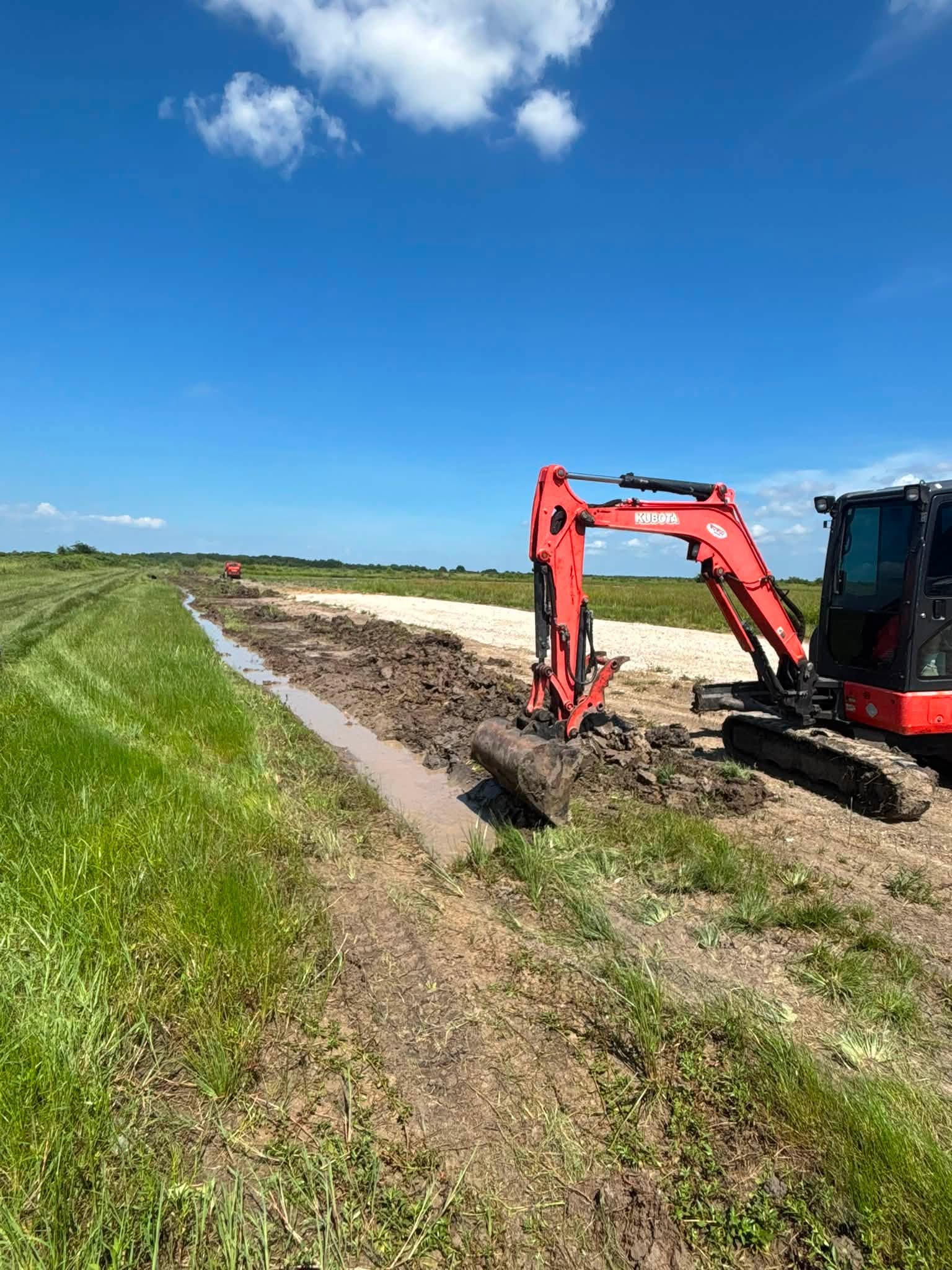 Pond Cleanup