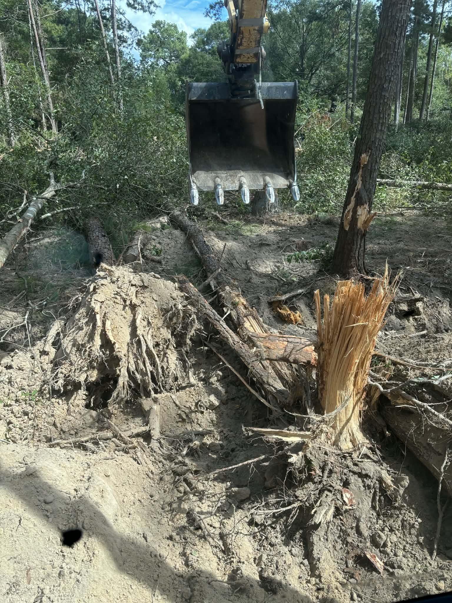 Land Clearing