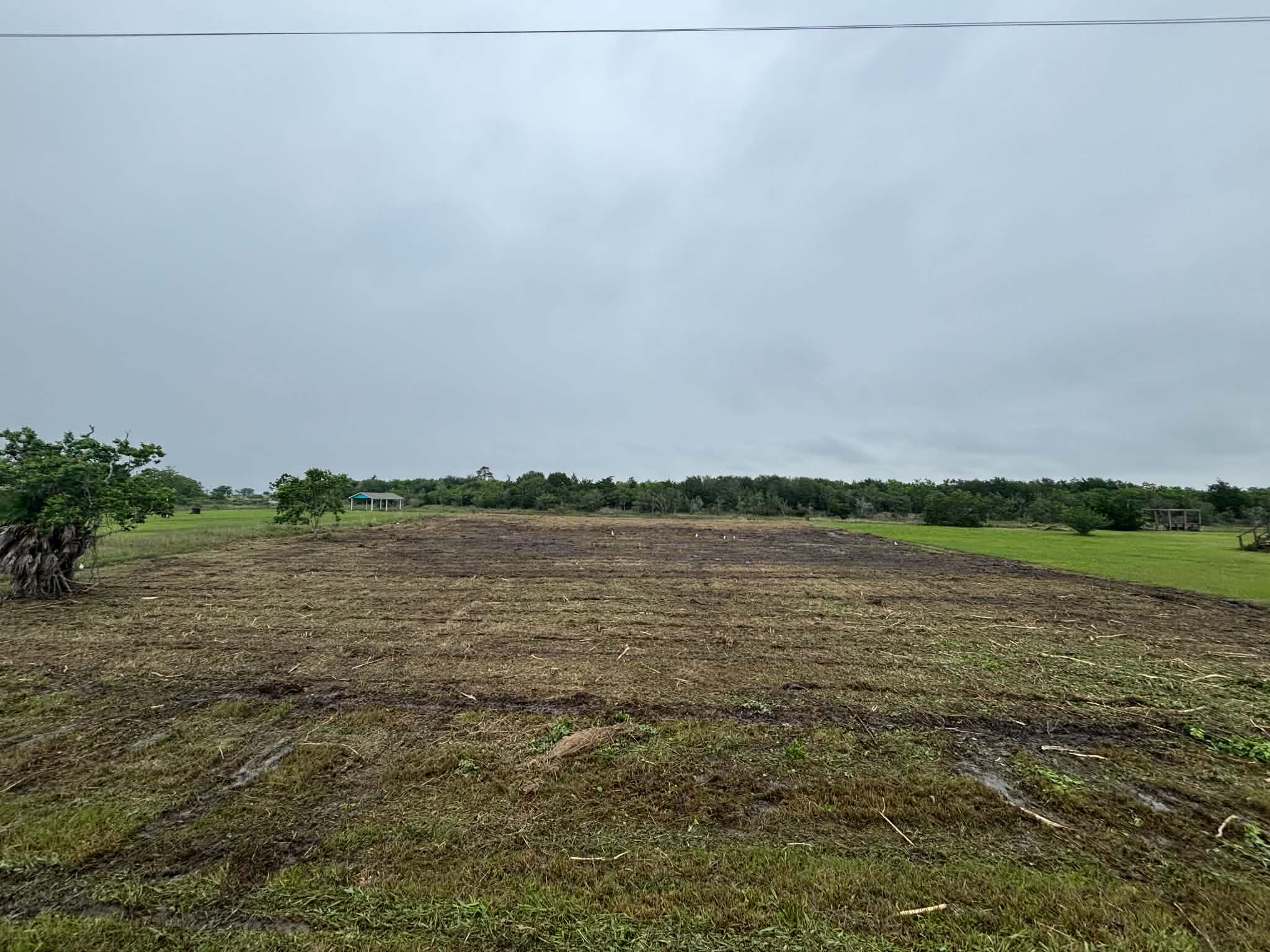 After - Cleared and mulched open lot in Smith Point, TX