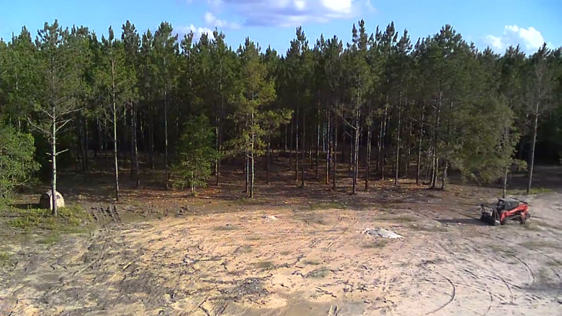 After - Pine timber with the undergrowth mulched out in Kountze, TX